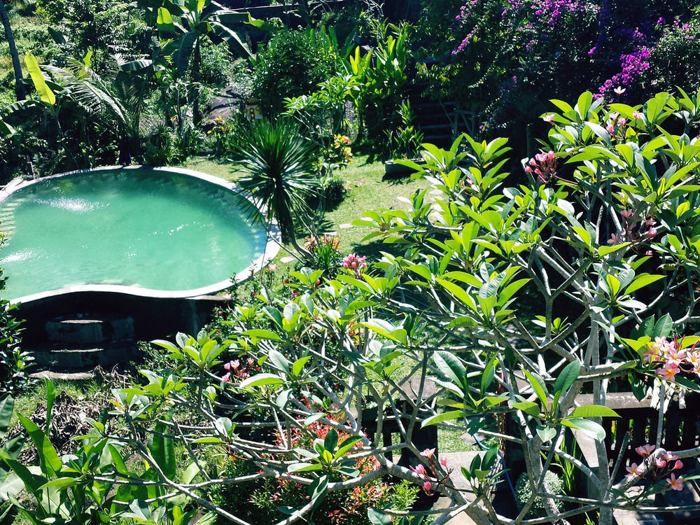 Oyo 1946 Terrace Campuhan Ubud Exteriör bild
