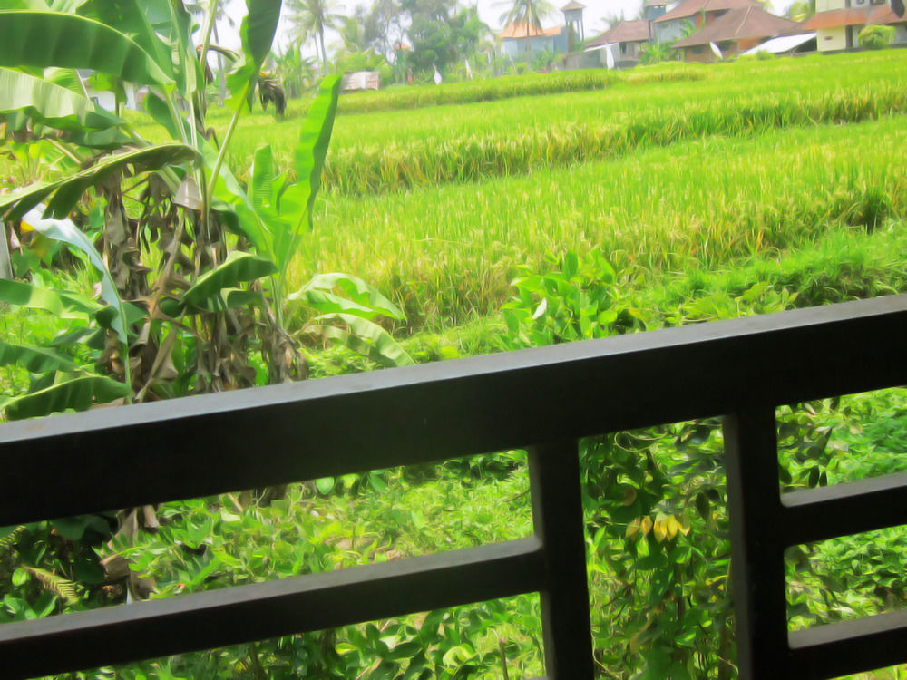 Oyo 1946 Terrace Campuhan Ubud Exteriör bild
