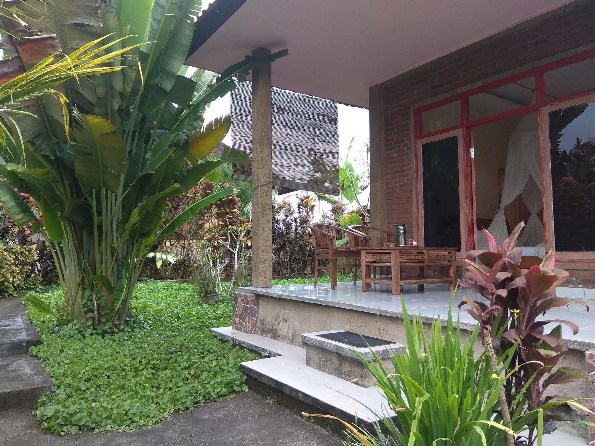 Oyo 1946 Terrace Campuhan Ubud Exteriör bild